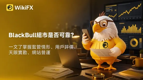 外匯券商BlackBull紐市是否可靠?一文了掌握監管情形、用戶評價、天眼實勘、網站營運