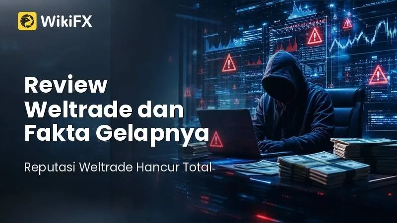 Review Weltrade dan Fakta Gelapnya: Reputasi Weltrade Hancur Total