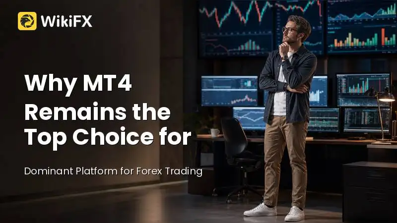 Why MetaTrader 4 Remains the Top Choice for Testing Automated Trading Robots