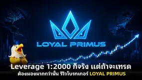  Leverage 1:2000 ก็จริง แต่ถ้าจะเทรดต้องมองมากกว่านั้น รีวิวโบรกเกอร์ LOYAL PRIMU