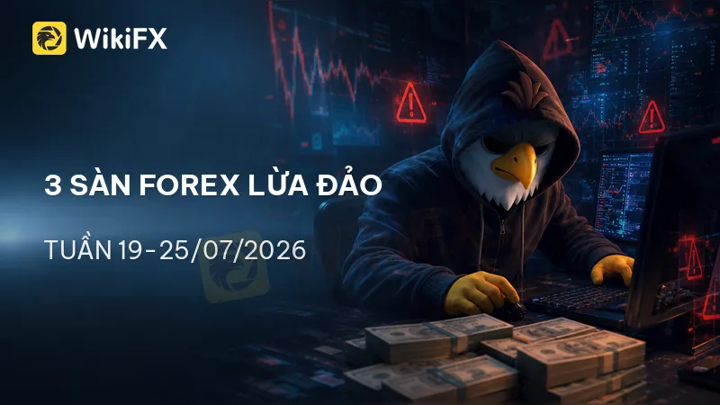 800x450.png