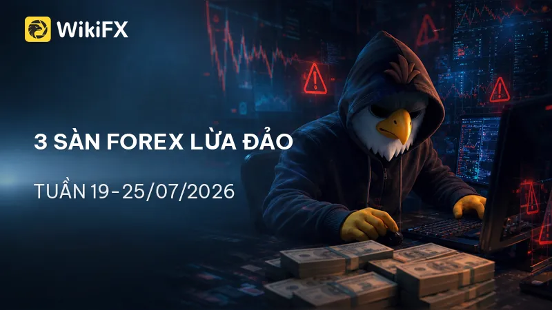 800x450.png