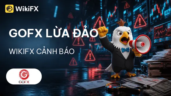 Sàn Forex GOFX lừa đảo: Phơi bày mạng lưới "mổ lợn" xuyên quốc gia - WikiFX cảnh báo