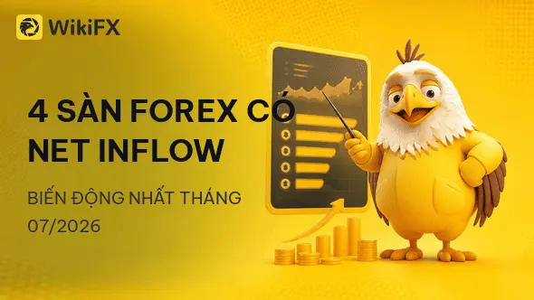 Điểm danh 3 sàn forex có Net Inflow biến động nhất tháng 07/2026 - WikiFX phân tích