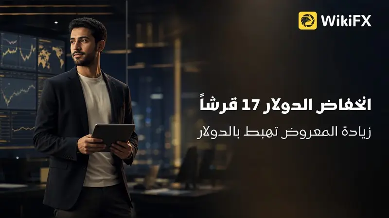 الدولار يهبط 17 قرشًا.. ماذا جرى في البنوك المصرية؟