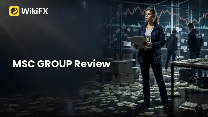 MSC GROUP Review: What Traders Should Know Before Depositing