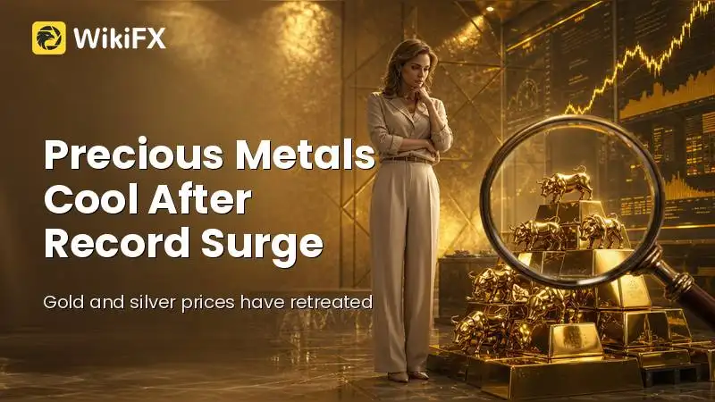 Precious Metals Cool After Record Surge