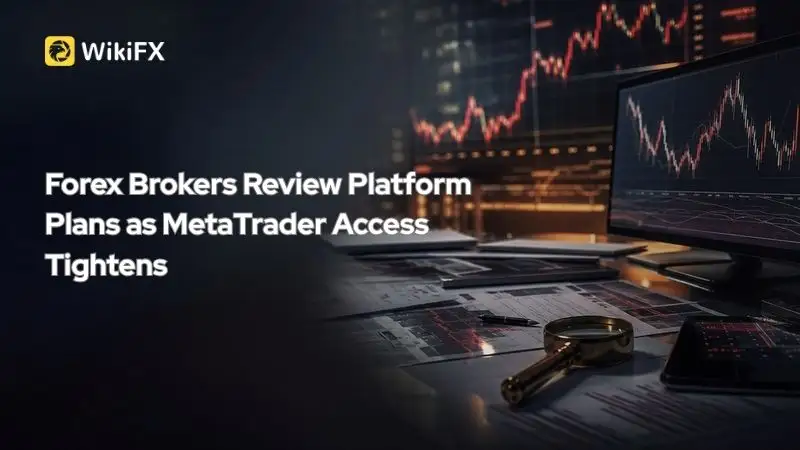 Forex Brokers Review Platform Plans as MetaTrader Access Tightens