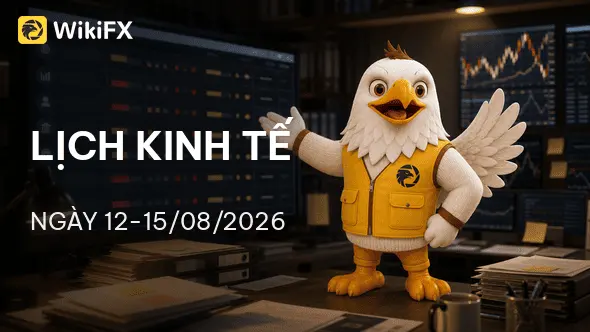 Lịch kinh tế ngày 12-15/08/2026: Cơn bão lạm phát, PPI và bán lẻ Mỹ