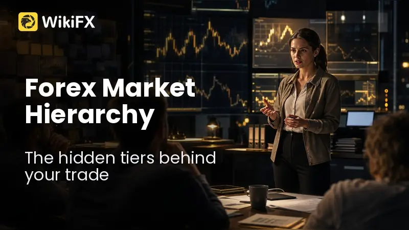 Who Really Moves the Forex Market? The Invisible Players