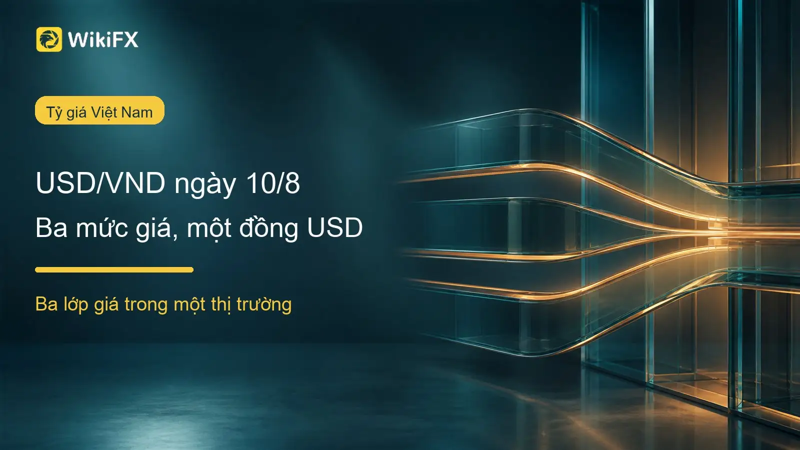 USD/VND 10/8: Khi khoảng cách 794 đồng hé lộ cấu trúc thật của thị trường ngoại hối
