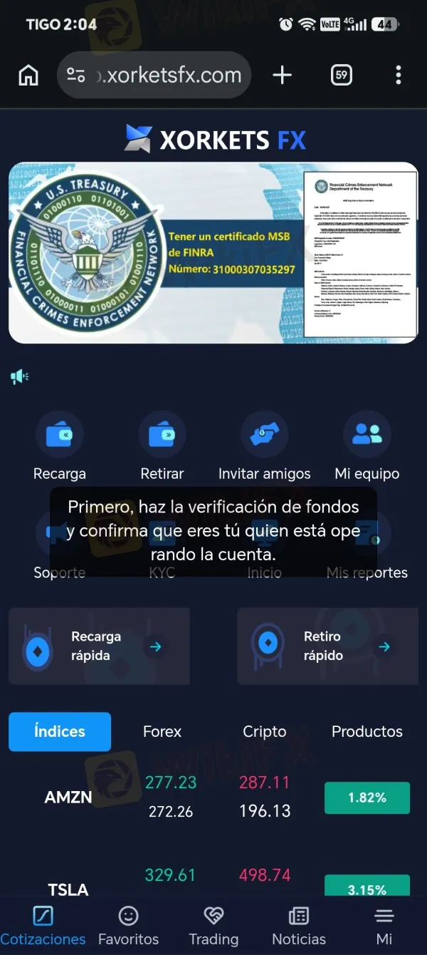 XORKETS FX estafa XORKETS FX estafa