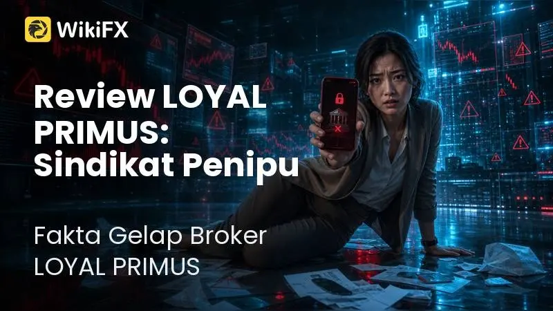 Review LOYAL PRIMUS dan Fakta Gelapnya: Sindikat Broker Penipu
