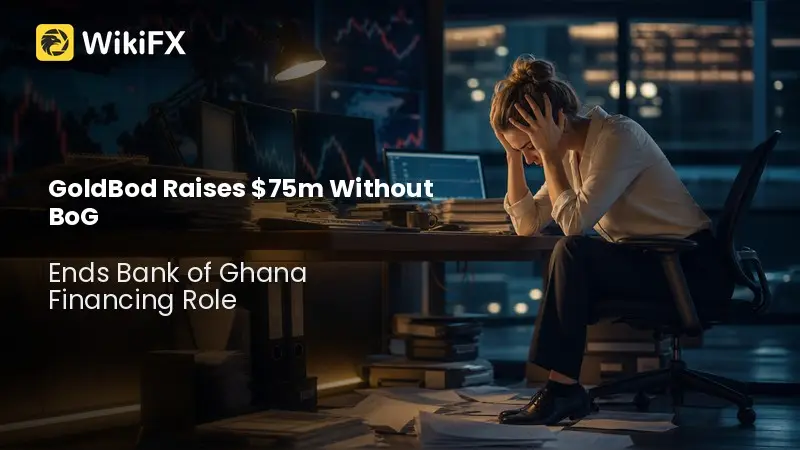 GoldBod Raises $75m Without BoG in New Forex Model