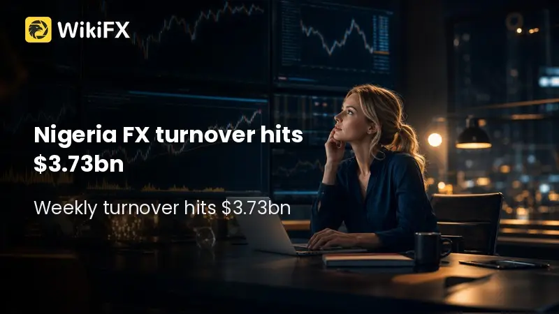 Nigeria FX turnover hits $3.73bn on dollar demand surge