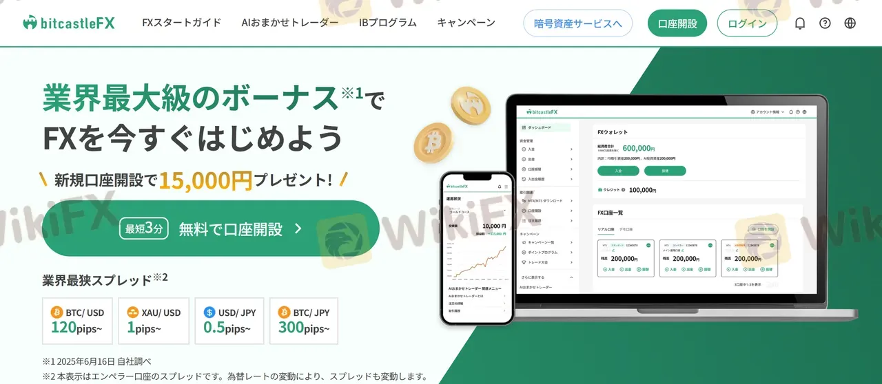 bitcastleFX-3.jpg