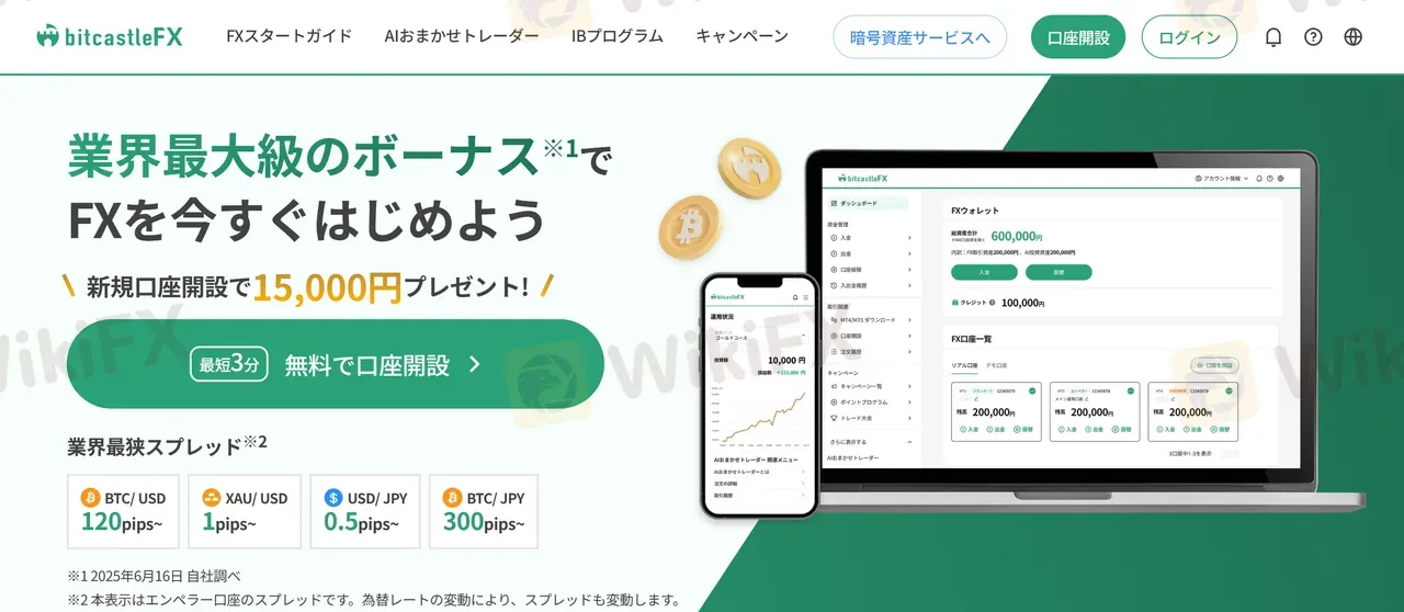 bitcastleFX-3.jpg