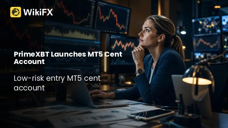 PrimeXBT Unveils Cent-Denominated MT5 Account for Beginners
