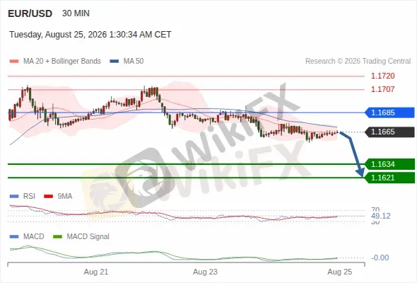 Analyst Views Chart