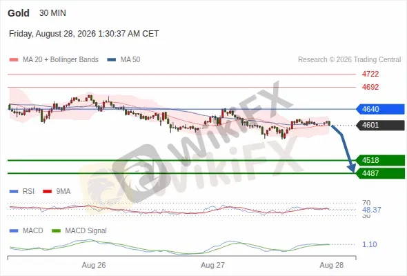 Analyst Views Chart