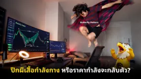 ปีกผีเสื้อกำลังกาง หรือราคากำลังจะกลับตัว?