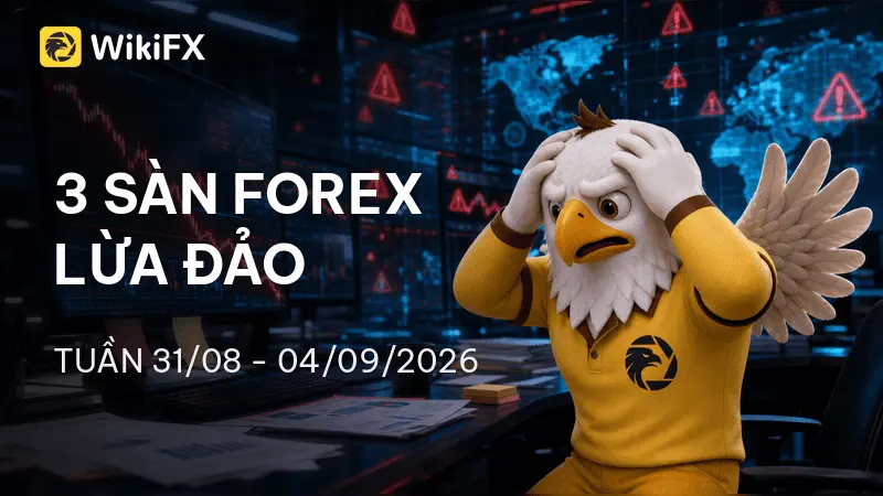 Top 3 sàn Forex bị tố cáo lừa đảo nhiều nhất tuần 31/08 – 04/09/2026 – WikiFX cảnh báo