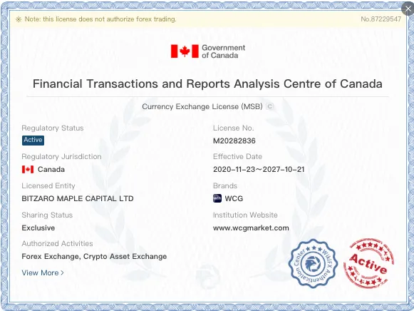 Is WCG Markets Legit? 