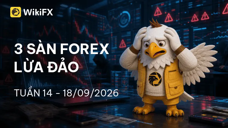 Điểm danh 3 sàn Forex bị tố cáo lừa đảo nhiều nhất tuần 14 – 18/09/2026 – WikiFX cảnh báo