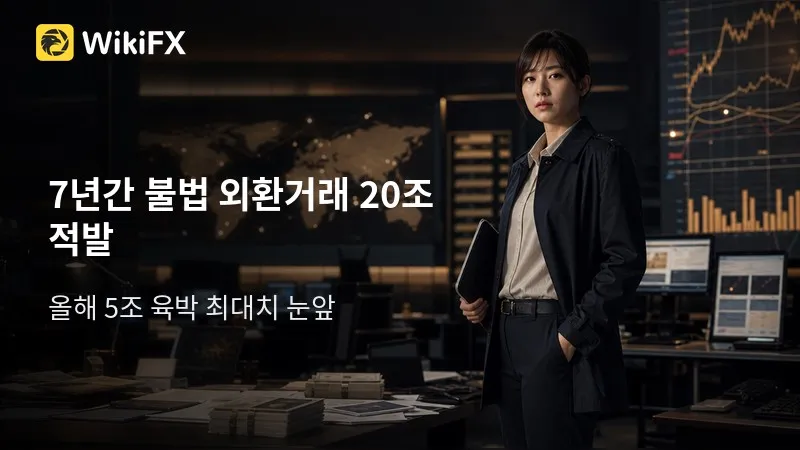 7년간 불법 외환거래 20조 적발…올해 신기록 눈앞