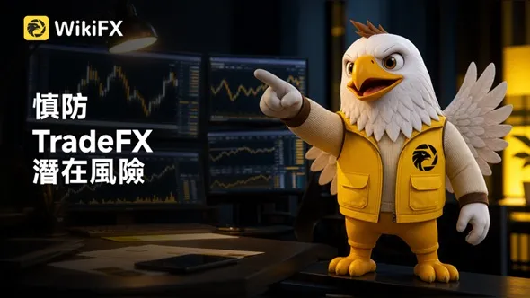 TradeFX缺乏有效外匯監管、網站無法連線、辦公地址不存在,存在投資詐騙風險