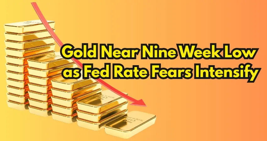 gold.jpg gold.jpg