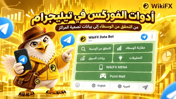من التحقق من الوسطاء إلى بيانات تصفية المراكز، أدوات الفوركس في محادثة واحدة على تيليجرام