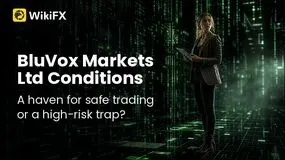 BluVox Markets Ltd Review 2026: Safe Trading Haven or High-Risk Trap?
