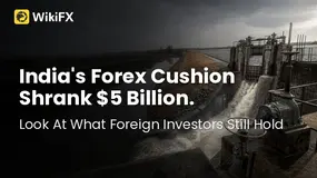 India's Forex Cushion Shrank $5 Billion. Now Look At What Foreign Investors Still Hold