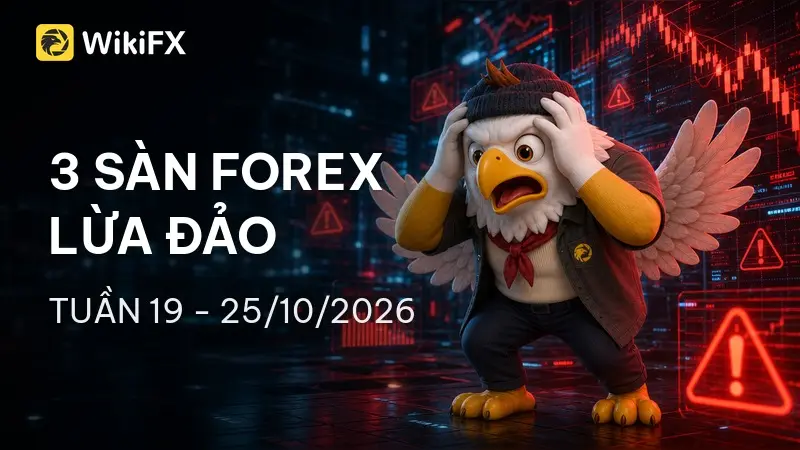 Top 3 sàn Forex bị tố cáo lừa đảo nhiều nhất tuần 19 – 25/10/2026 – WikiFX cảnh báo