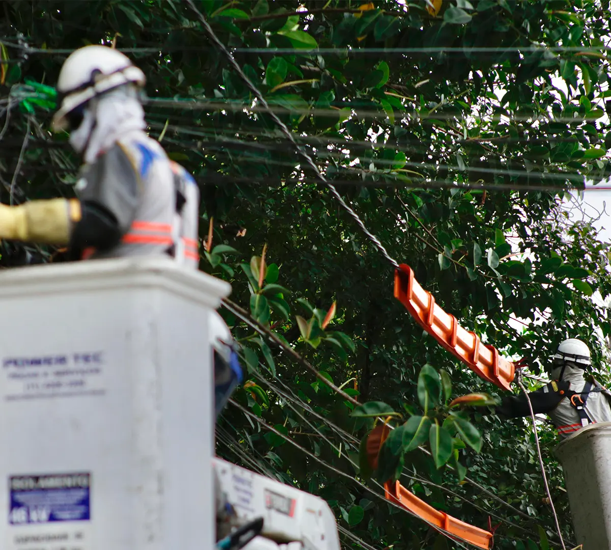 Enel SP aciona plano de contingência para chegada de ciclone-bomba