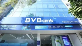 Bà Nguyễn Thanh Phượng cùng nhiều lãnh đạo Vietcap xuất hiện trong danh sách phân phối cổ phiếu BVBank