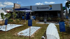 JP Morgan: Vendas da Braskem (BRKM5) crescem, mas margens preocupam