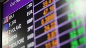 الدولار النيوزيلندي يوسع مكاسبه لأعلى مستوى في أسبوعين وسط أجواء إيجابية