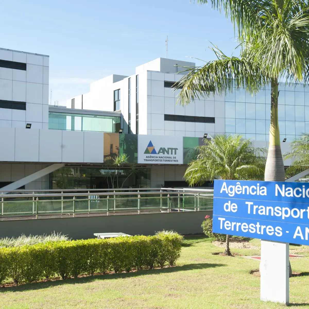 A força da regulação e o papel estratégico das agências reguladoras