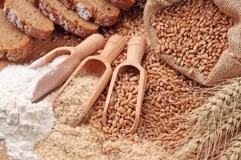 عقود القمح ترتفع وسط مخاوف جيوسياسية وتزايد الضغوط على الإمدادات العالمية