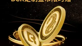 【BCR财经速递】散户成市场新主力，华尔街罕见达成共识