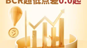 在BCR平台少走5年弯路：从情绪化交易到规则化系统的转型之路