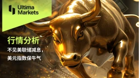 不见美联储减息，美元指数保牛气