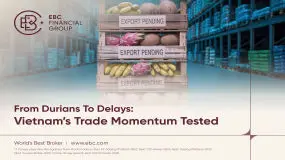 Profits on Paper, Losses at the Border: What Traders Must Know About Vietnam