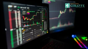 Bitcoin and Ethereum Lead Market Pullback as Traders Await Fed Signals