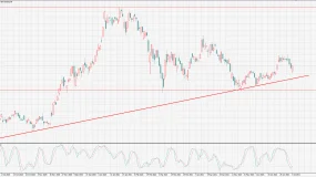 【ANC澳联】Model Y低于30万,国产特斯拉掀波澜
