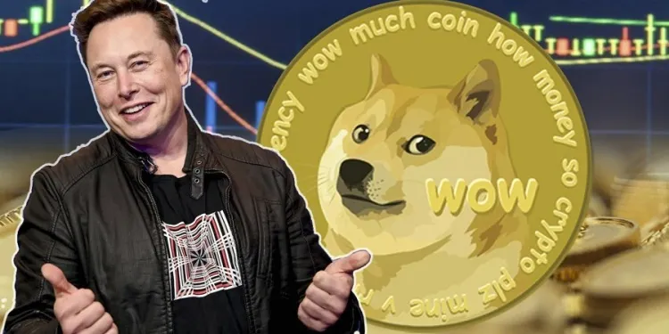 Elon
