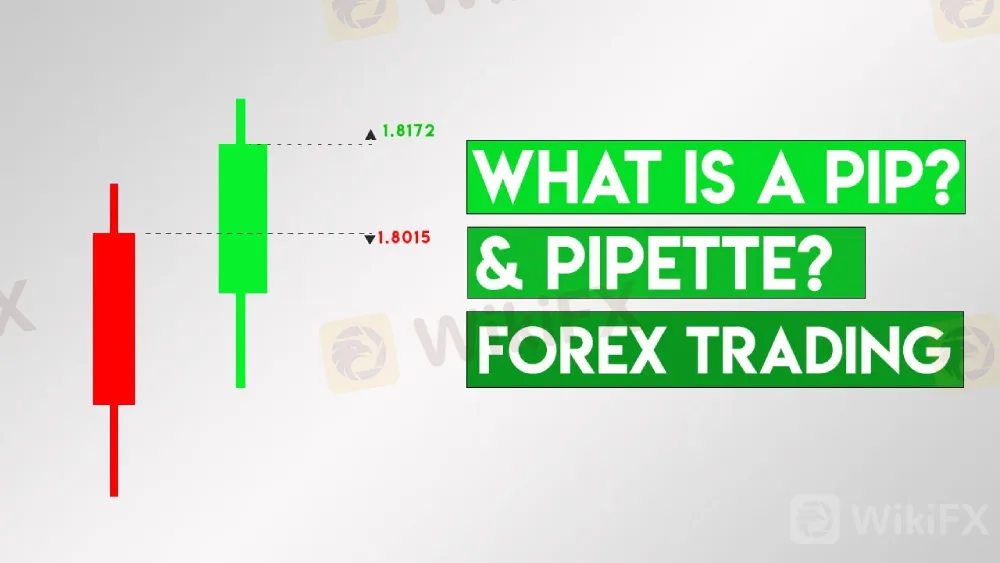 FX0011-What-is-a-Pip-Forex-Trading-Thumb.jpg