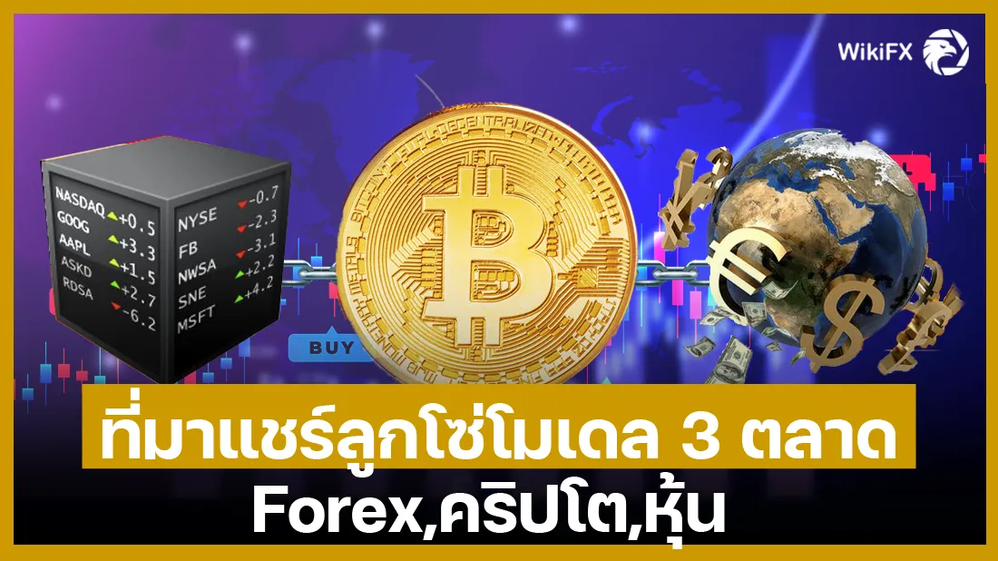 3cd55783-2987-40d2-861d-3b7125bd8ce6.png 3cd55783-2987-40d2-861d-3b7125bd8ce6.png